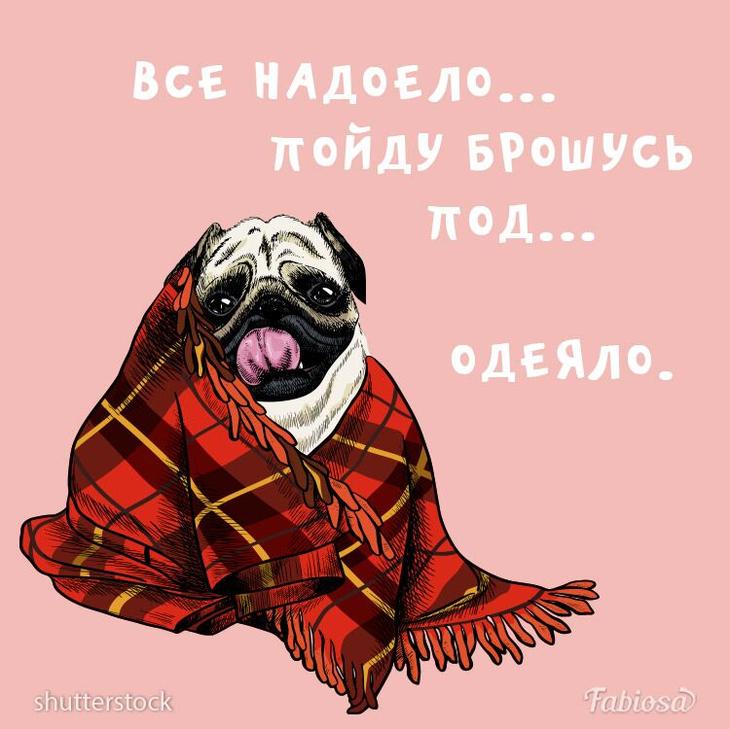 Классный юмор для отличного настроения