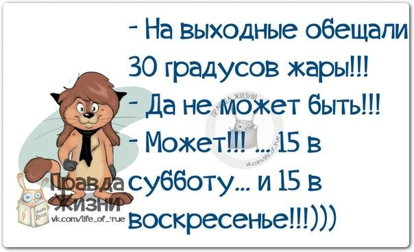 У того, кто играл в тетрис, нет проблем с расстановкой грязной посуды в раковине анекдоты,веселые картинки,демотиваторы,приколы,юмор