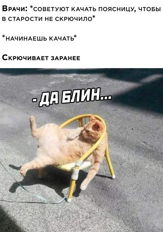 Пост приколов выходного дня. Немного позитива в каждый дом! 