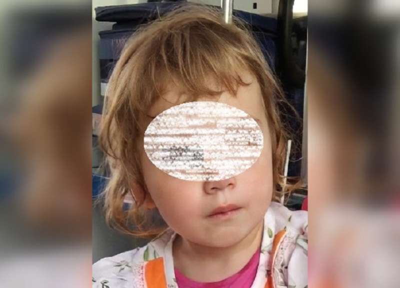 пропала девочка южно сахалинск. ребенок нашли в кукурузном поле. девочку нашли двухлетнюю. девочку нашли двухлетнюю. люда кузина смоленская область.