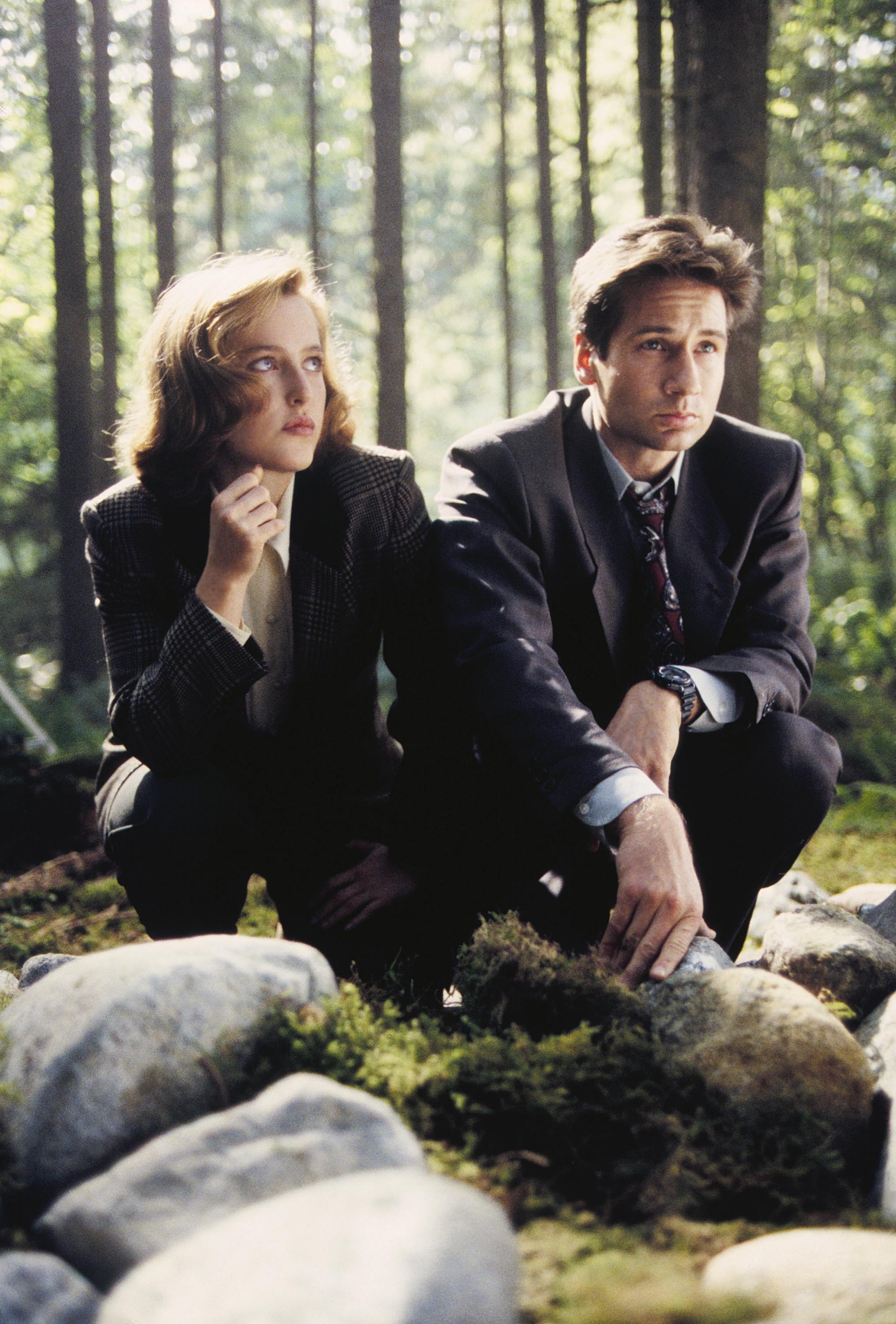 X files c. Агент Малдер и Скалли. Агент Малдер и Скалли сериал. Секретные материалы Скалли и Малдер. Дэвид Духовны секретные материалы 1 сезон.