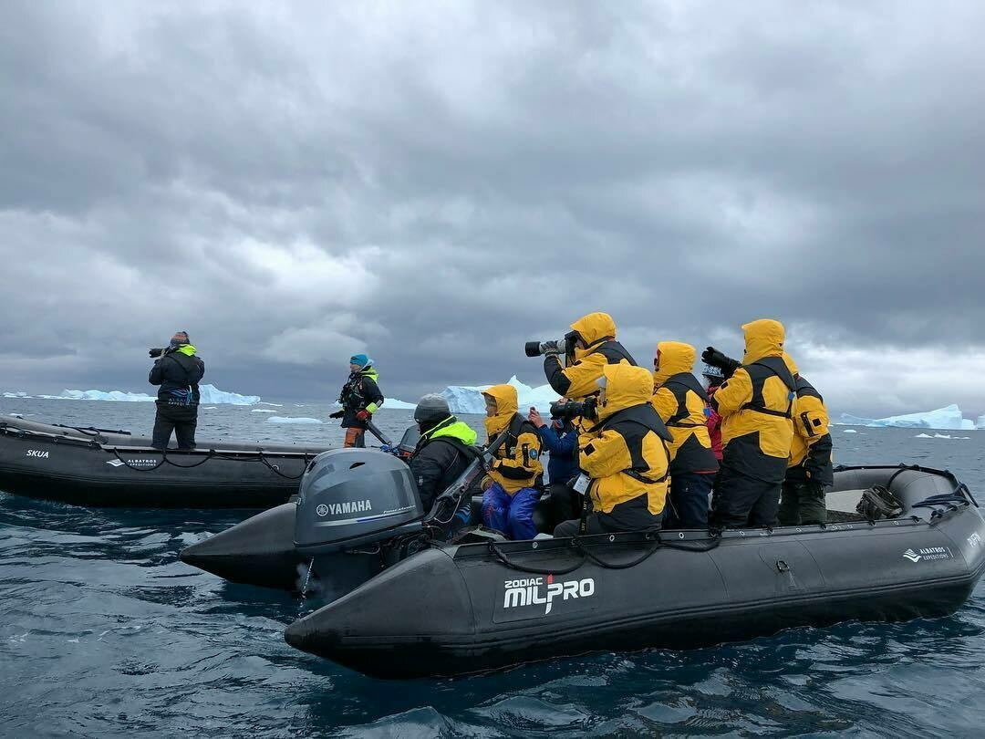 Опыт посещения Антарктиды: как подготовиться, сколько нужно денег и что там можно увидеть 1,2,3,заграница,путешествие,туризм