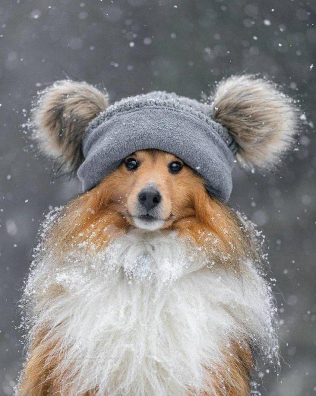 Пост приколов выходного дня. Немного позитива в каждый дом! Пост приколов выходного дня. Немного позитива в каждый дом!