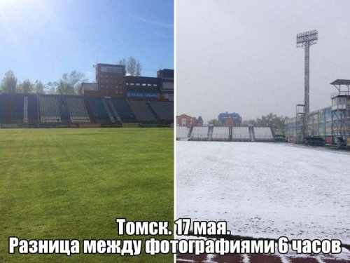 Прикольные картинки дня (50 шт)