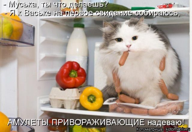 Самые смешные котоматрицы за прошедшую неделю