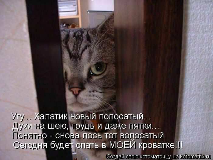 Кошарики :) Кошарики :)