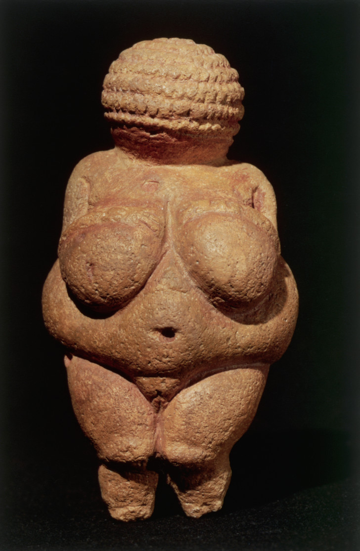 Эволюция женской груди: от палеолитической Венеры до наших дней грудь,женщины,история