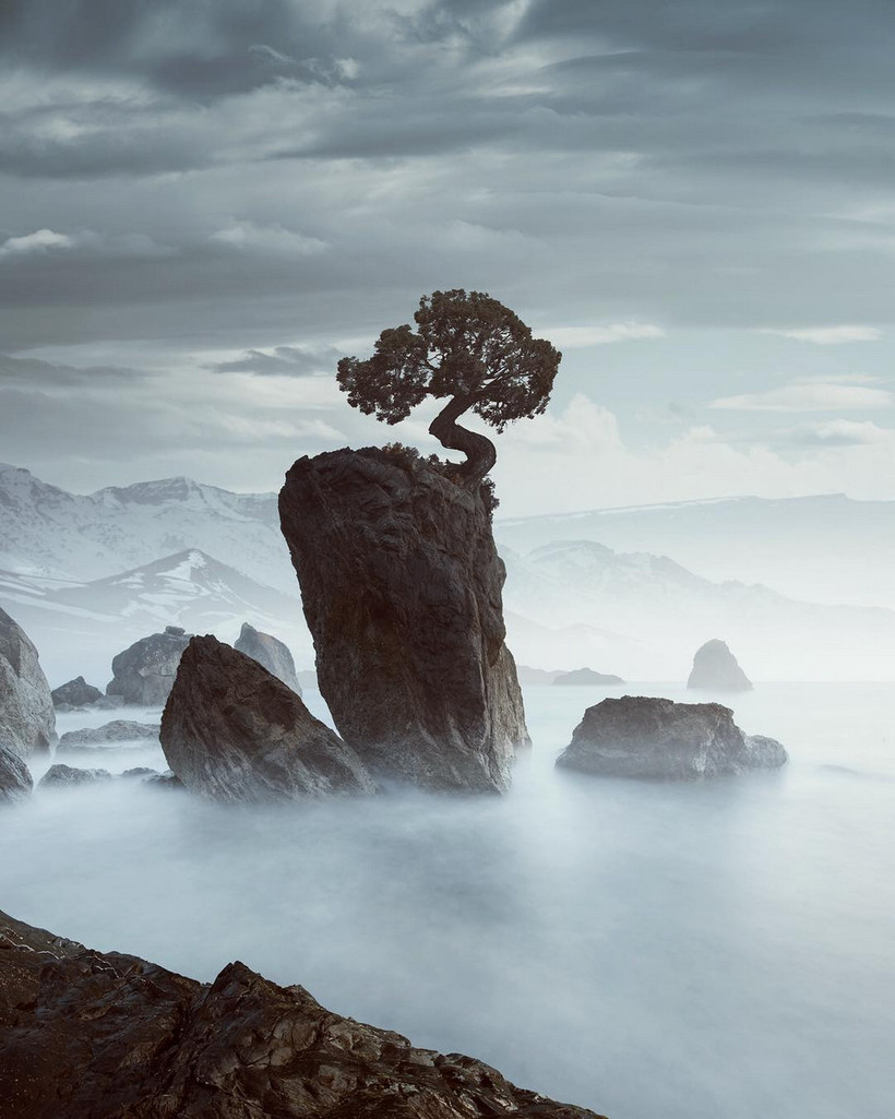   Hasselblad Masters Award    
