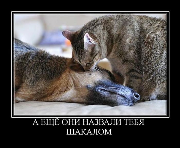 Демотиваторы для всех: «Малевич» 