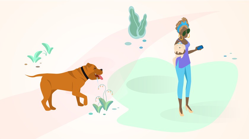 Бойцовые породы: за и против содержания таких собак в квартирах наши любимцы,полезные советы