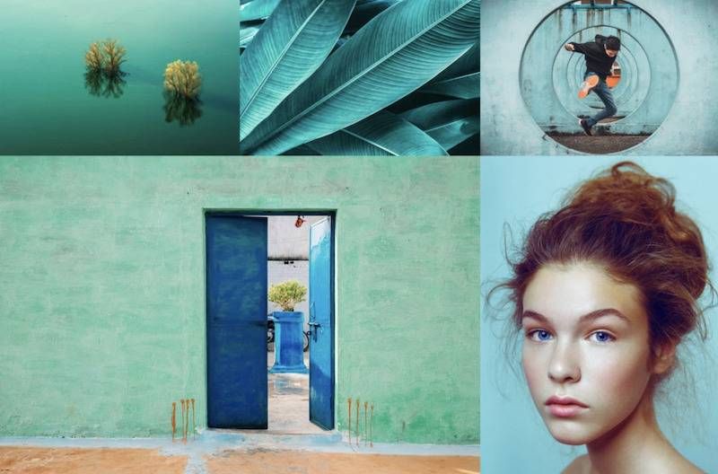Цветовые тренды 2020 года: мнение Shutterstock
