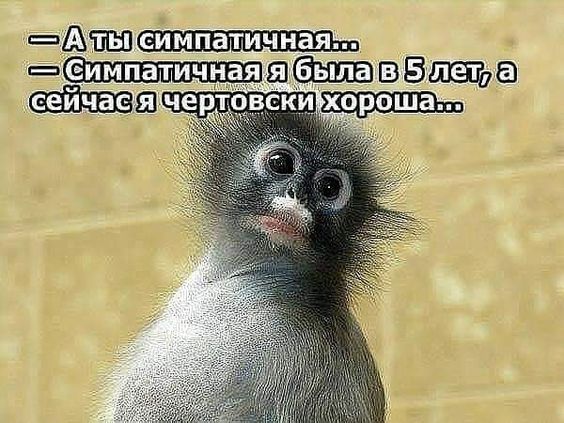 Подборка юмора и шуток на выходные 