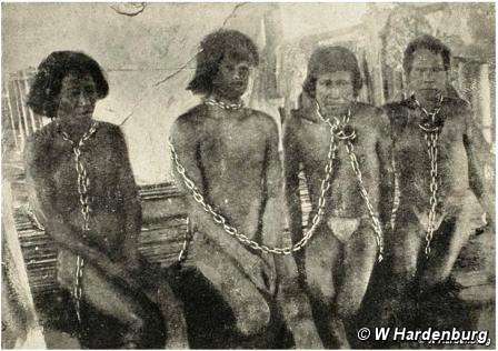 Тысячи индейцев были порабощены и убиты во время бума каучука. © W Hardenburg
