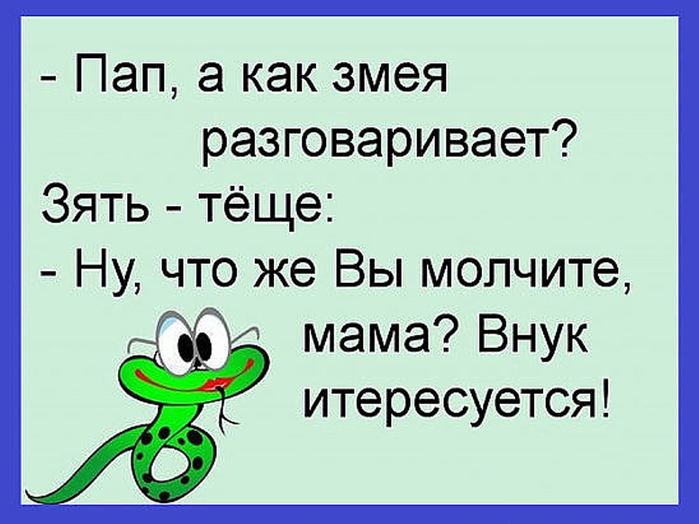 Картинки со змеями прикольные с надписями со смыслом