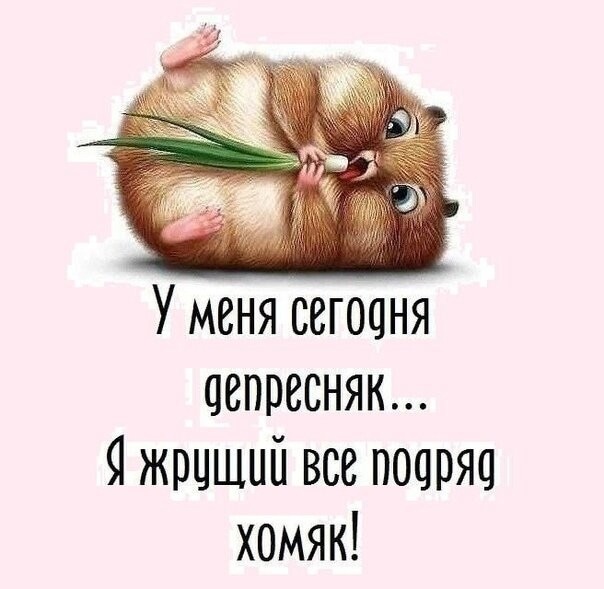 Как нужно правильно пить водку