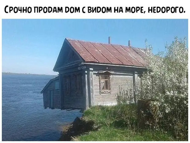 - Что общего у таксиста и спортивного комментатора? - Оба сидят в кабине и кроют всех вокруг 