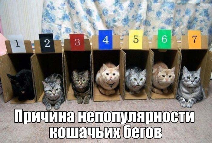 Замечательные картинки с надписями для настроения (11 фото)