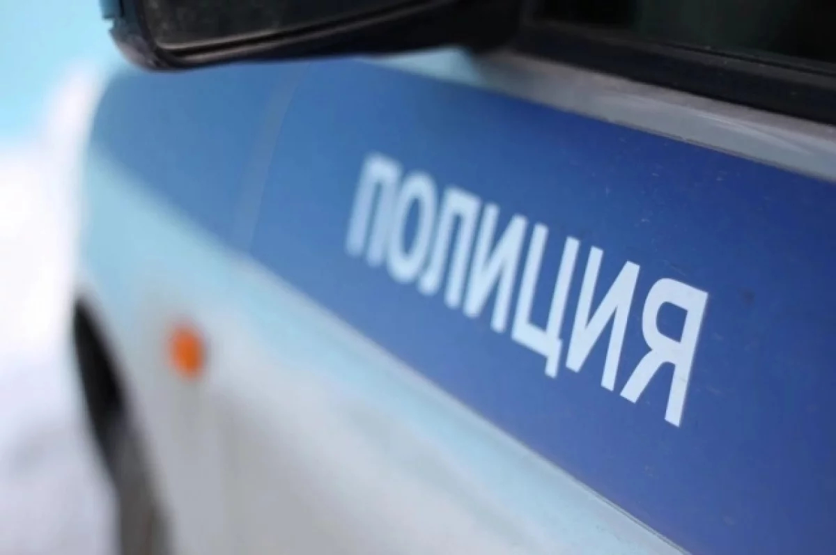 В Домодедово полицейский открыл стрельбу при задержании злоумышленников