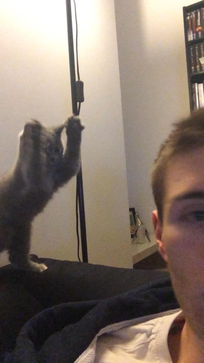 26 фотографий, на которых задний план гораздо смешнее переднего 26 фотографий, на которых задний план гораздо смешнее переднего