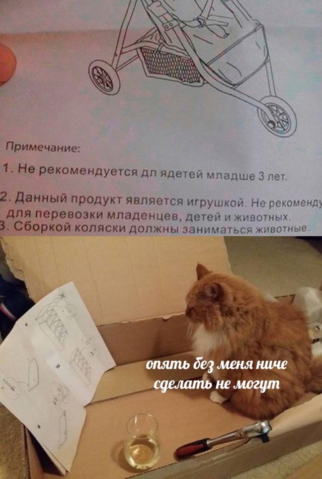 Подборка картинок. Вечерний выпуск Подборка картинок. Вечерний выпуск приколы,смешные картинки,юмор