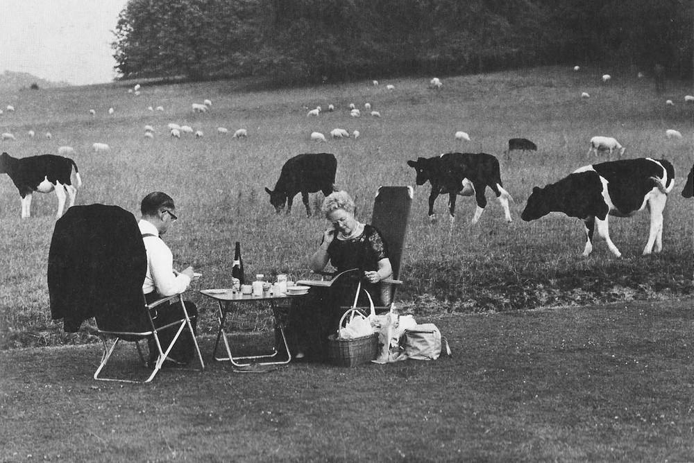 Чисто английский образ жизни. Тони Рэй-Джонс ретро