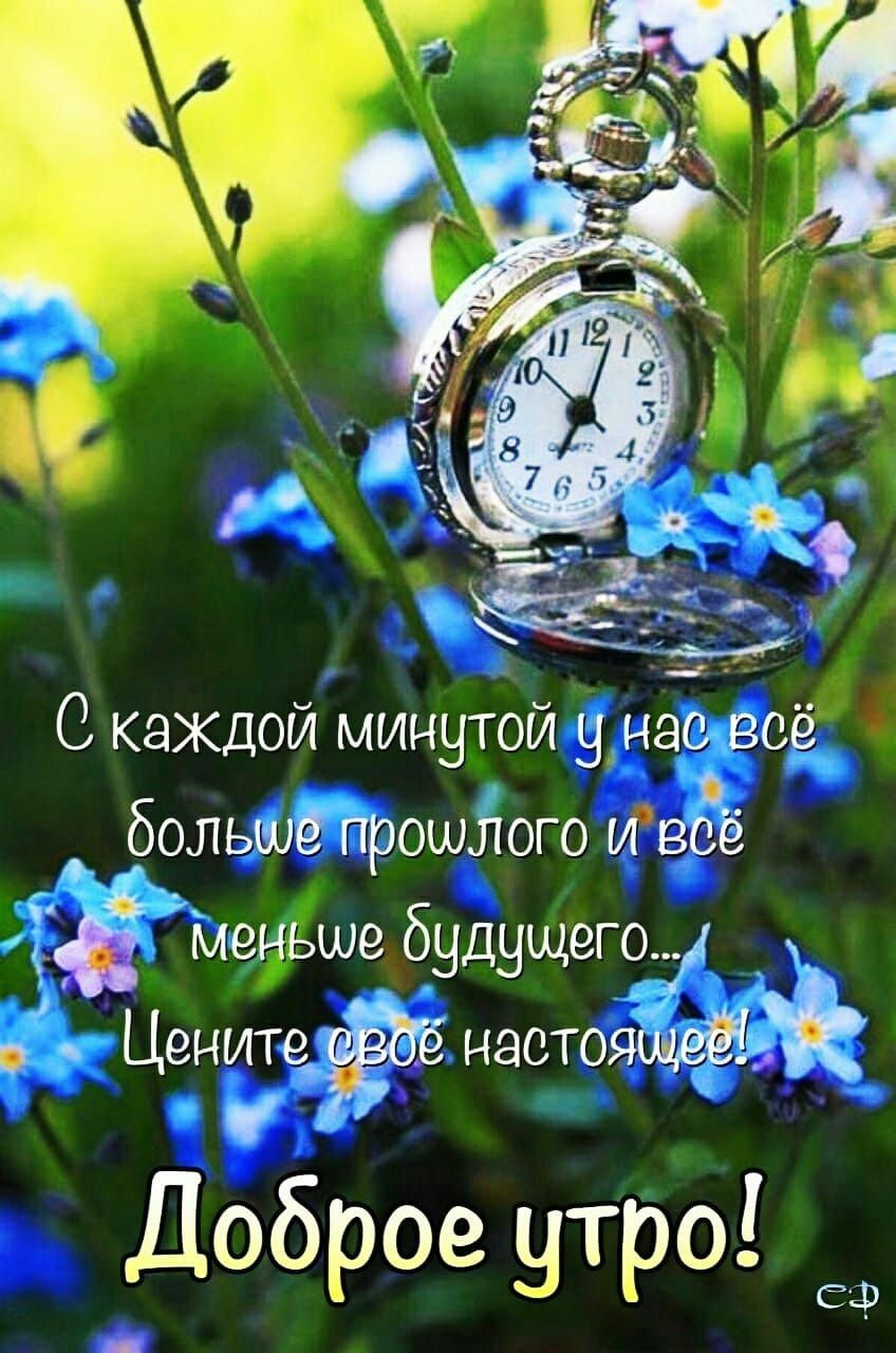 Забавные жизненные анекдоты и шутки для хорошего настроения