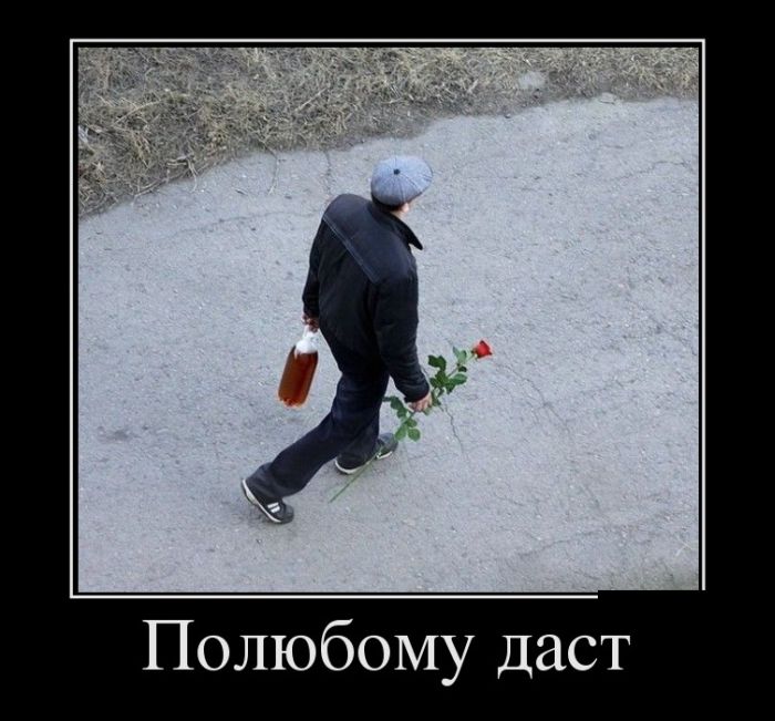 Забавные и прикольные демотиваторы для улыбки и веселья Забавные и прикольные демотиваторы для улыбки и веселья смешные демотиваторы