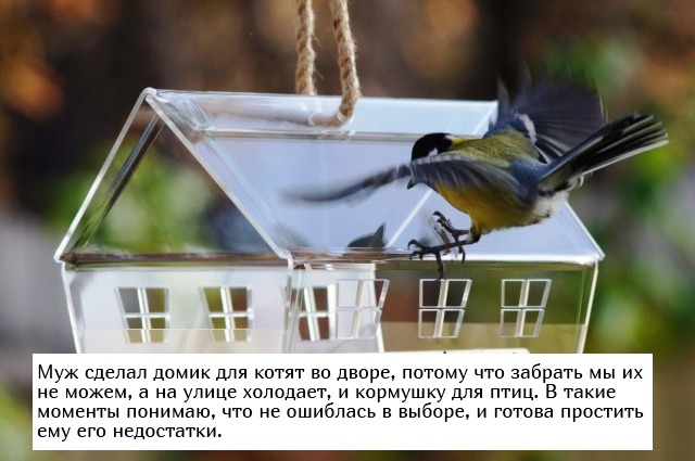 Невыдуманные добрые истории, которые настроят вас на позитив Невыдуманные добрые истории, которые настроят вас на позитив