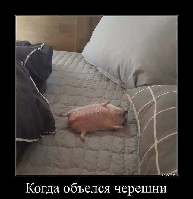 Новая порция демотивирующих картинок Новая порция демотивирующих картинок