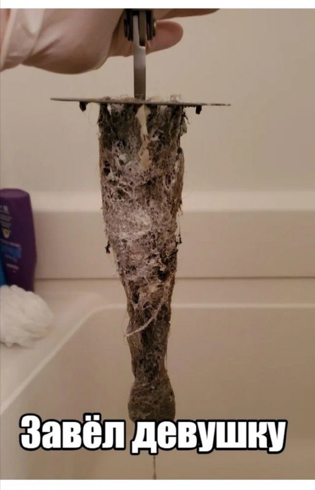 Смехопанорама. Высший класс! смешные картинки,фото-приколы,юмор