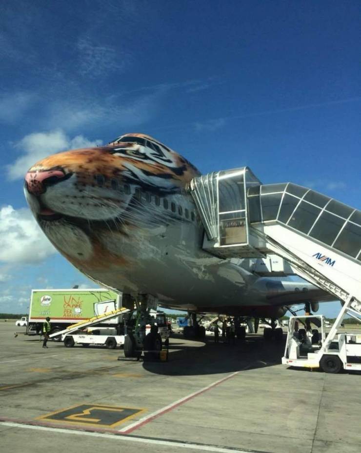 Подборка картинок. Вечерний выпуск Подборка картинок. Вечерний выпуск приколы,смешные картинки,юмор