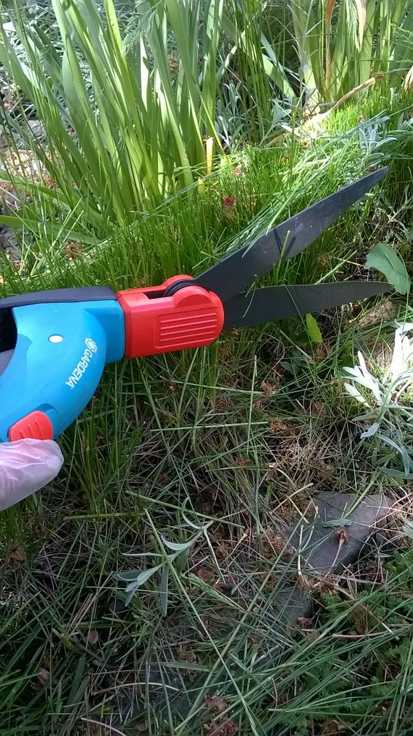 Как я их хотела!!! Ножницы от Gardena Как я их хотела!!! Ножницы от Gardena
