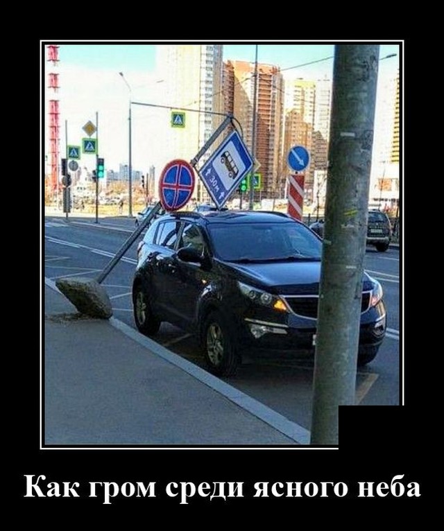 Самые новые демотиваторы  демотиваторы