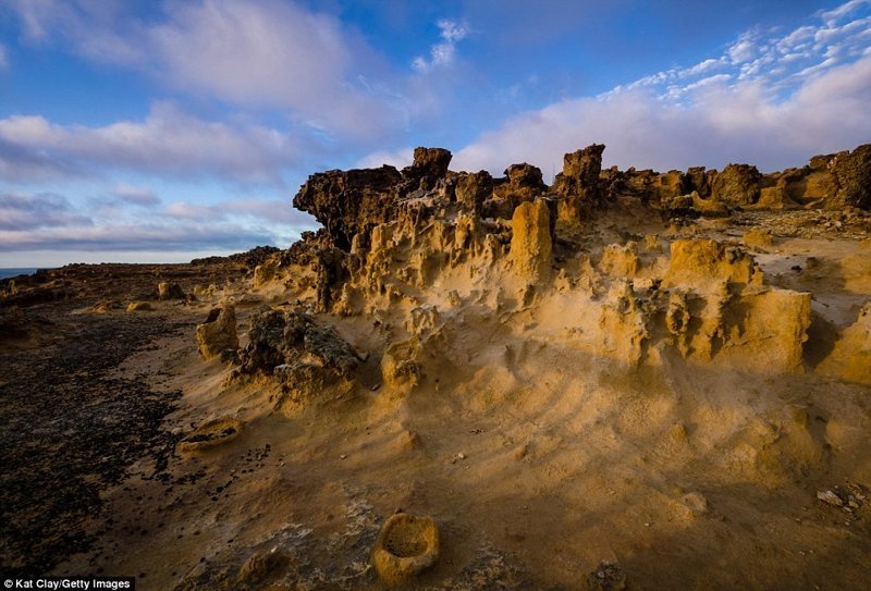 Пешеходная тропа Great South West Walk, Австралия Lonely Planet, интересные места земли, пешие тропы, пеший маршрут, пеший туризм, путеводитель, туризм, туристу на заметку