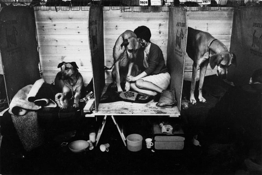 Чисто английский образ жизни. Тони Рэй-Джонс ретро