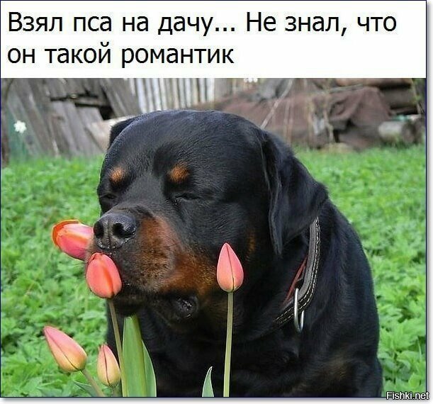 Юбилейная подборка интересных и веселых картинок №50 Юбилейная подборка интересных и веселых картинок №50 отдых