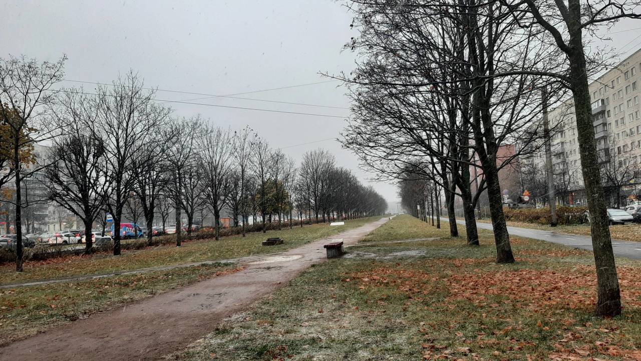 Какая погода в питере в октябре