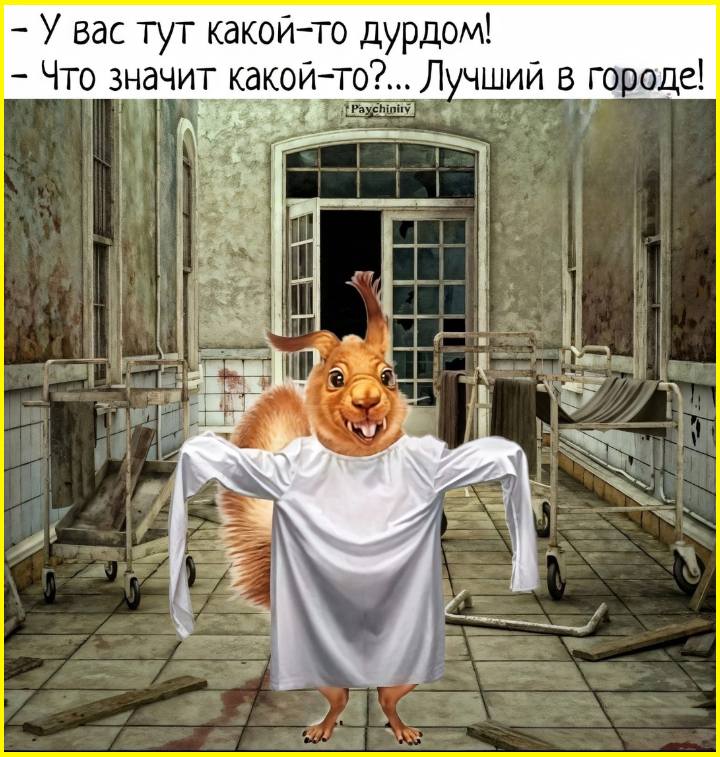 Пятницкий юмор на сон грядущий Пятницкий юмор на сон грядущий