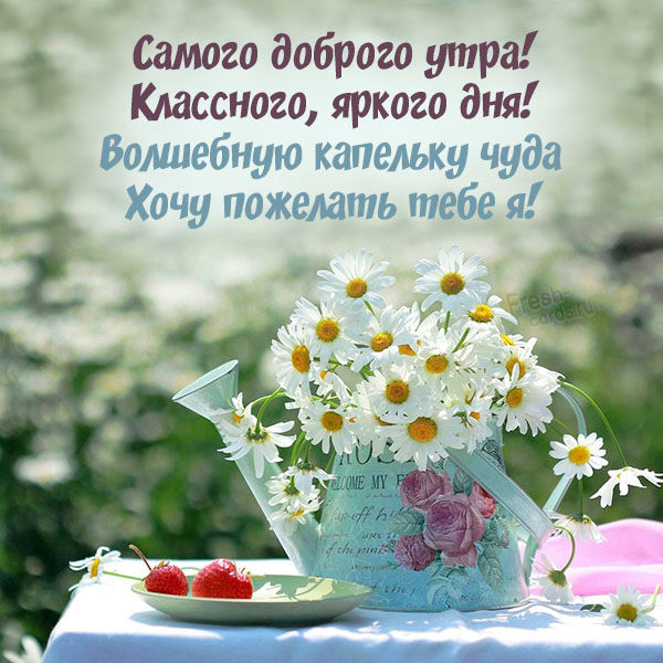 Забавные жизненные анекдоты и шутки для хорошего настроения 