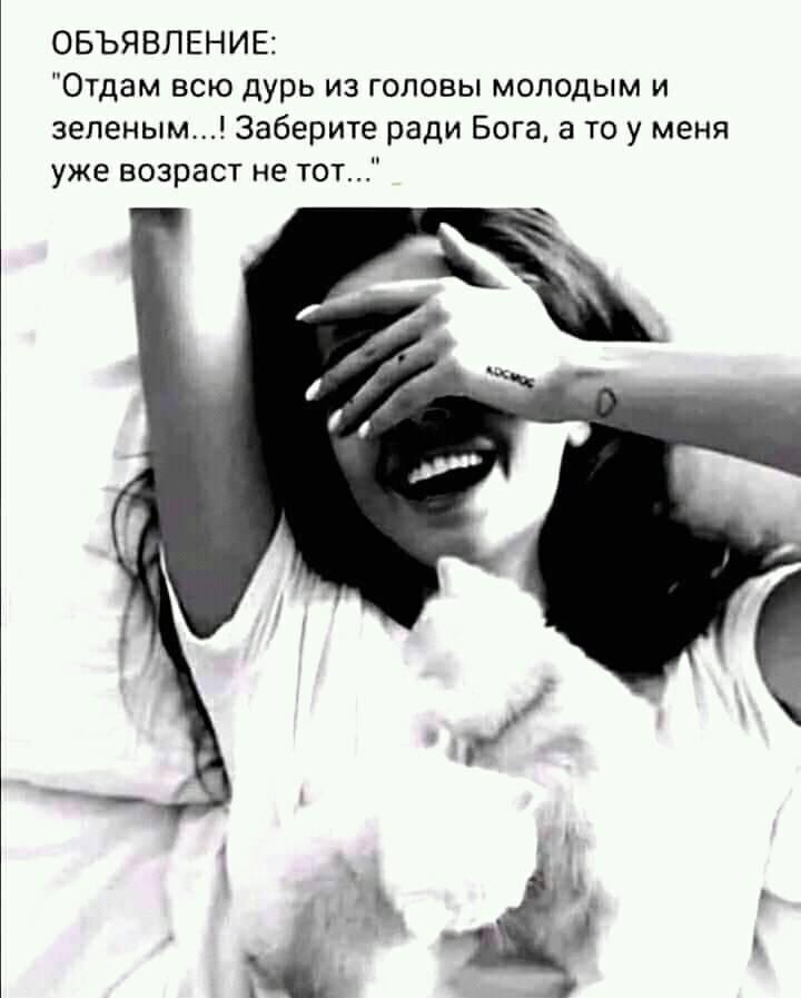 Из зоопарка сбежал слон. Звонок шерифу... Из зоопарка сбежал слон. Звонок шерифу... Весёлые,прикольные и забавные фотки и картинки,А так же анекдоты и приятное общение