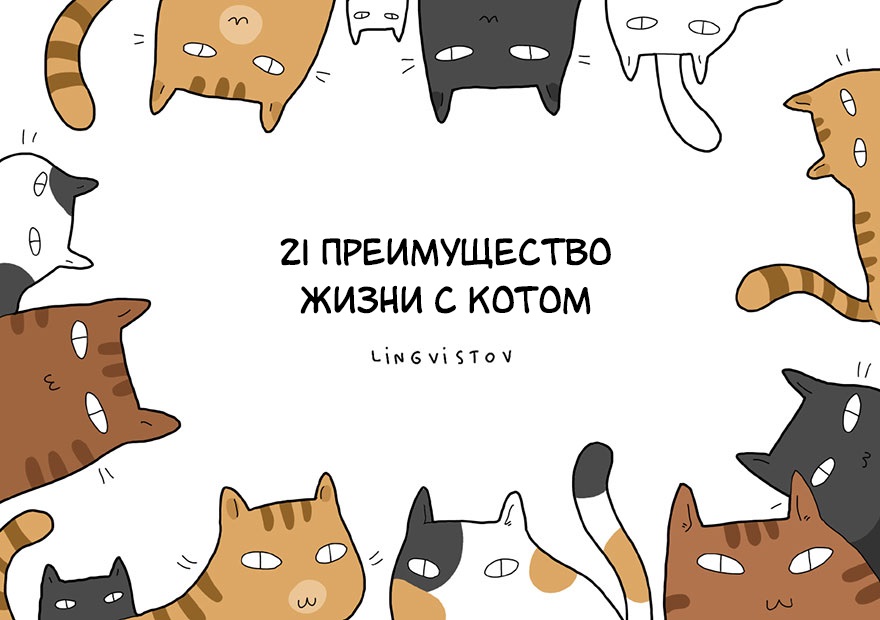 21 преимущество жизни с котом