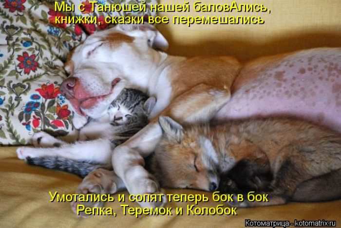 Кошарики :) Кошарики :)