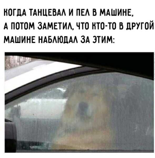 Смешные и интересные шутки, цитаты и фразы Смешные и интересные шутки, цитаты и фразы