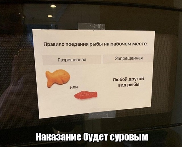 - Я где-то слышала, что Wi-Fi особенно вреден для женщин. - Конечно, вреден! Полы не помыты, жратва не готова, а всё потому что Wi-Fi! приколы