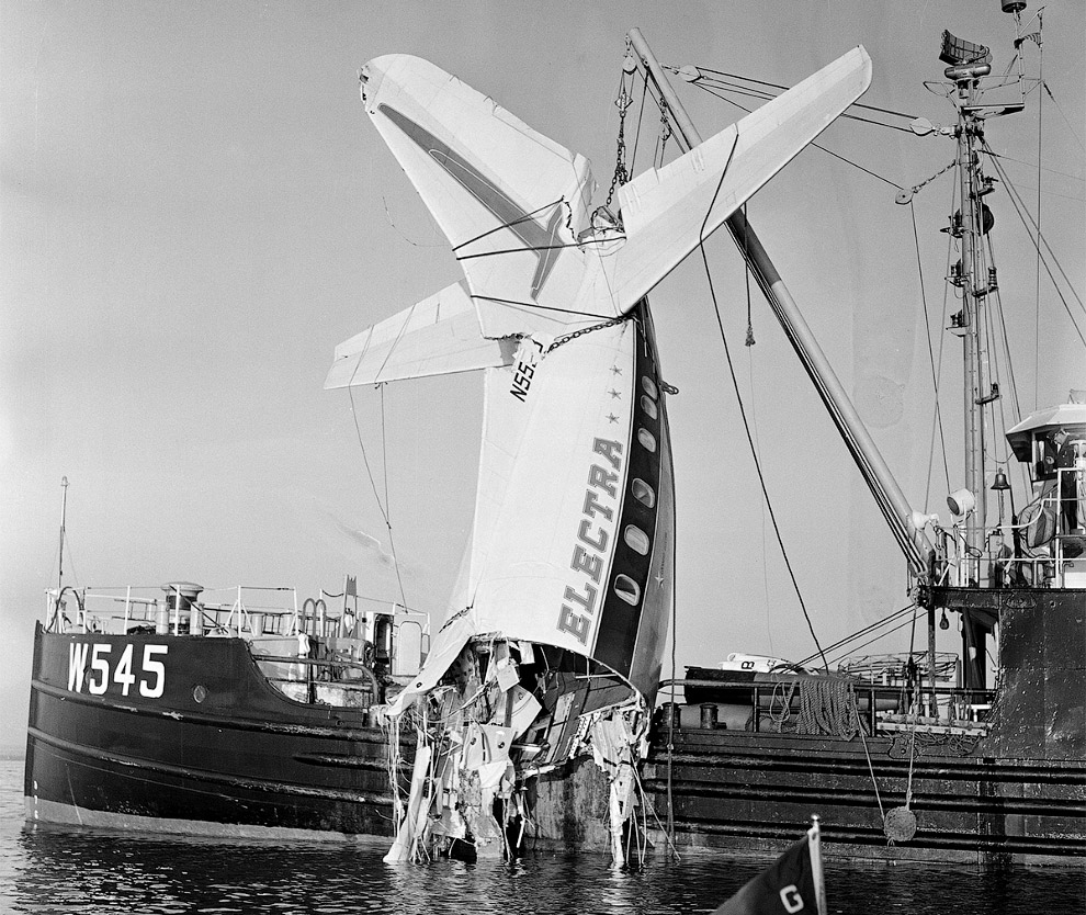 Громкие катастрофы самолетов с участием птиц Громкие катастрофы самолетов с участием птиц