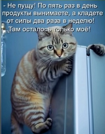 Сексуальная жизнь котэ... этого, Гарика, Гарик, потом, кастрированным, через, балкона, дороге, сексуальной, истерика, демон, кошку, жизни, стало, первым, сделал, утром, навстречу, счастью, половой