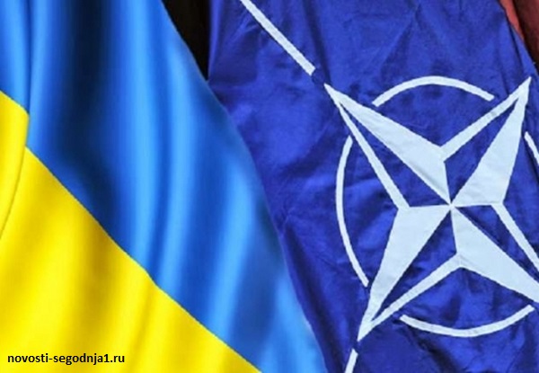 Украина сближается с НАТО
