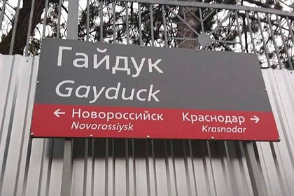 В российском регионе избавятся от таблички с названием станции «Гей утка» Дом