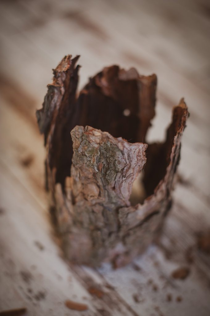 Трофеи с осенней прогулки превращаются в красивый сезонный декор Трофеи с осенней прогулки превращаются в красивый сезонный декор декор,домашний досуг,своими руками