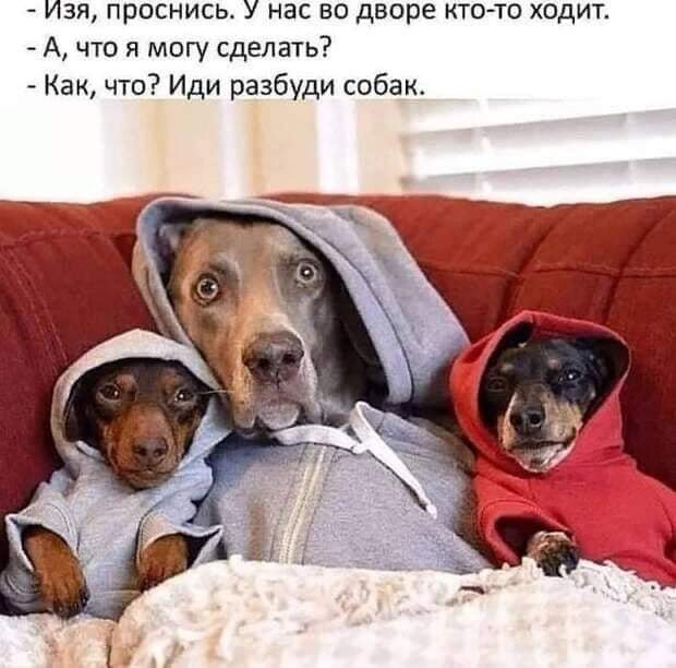 Веселые истории из жизни в картинках и самые смешные шуточки 